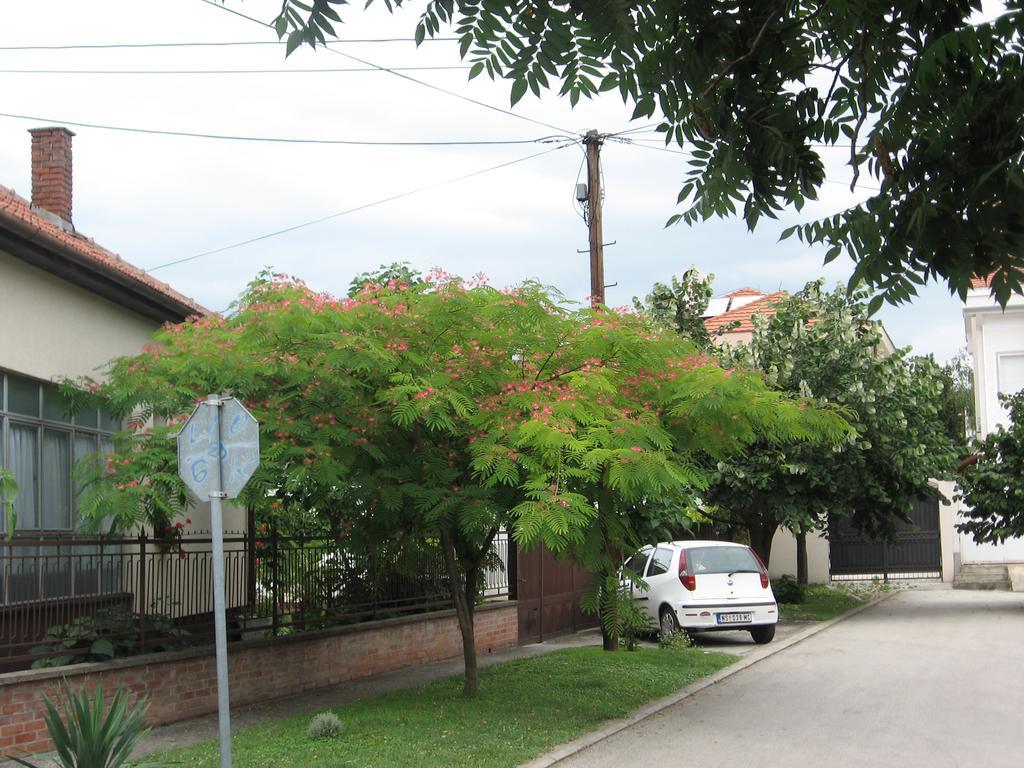 Green Apartment Novi Sad Bagian luar foto