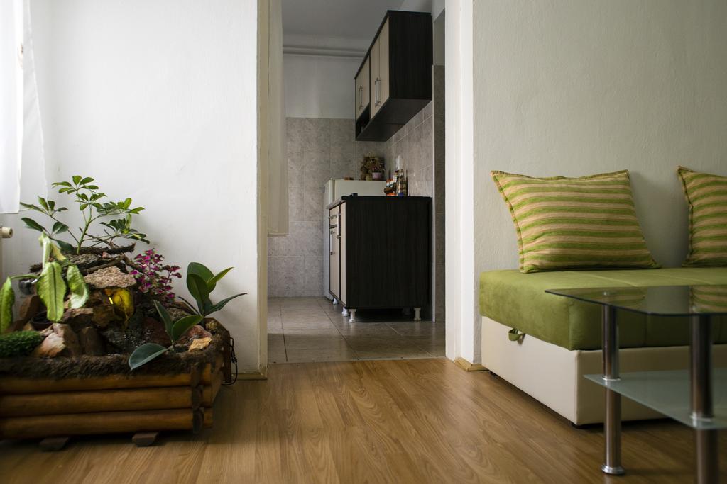 Green Apartment Novi Sad Bagian luar foto